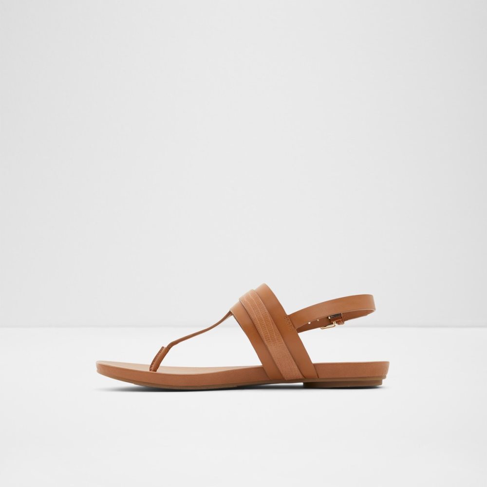 Sandales Aldo Gannamaryn T-strap Sandal Marron | ACDPUR-957