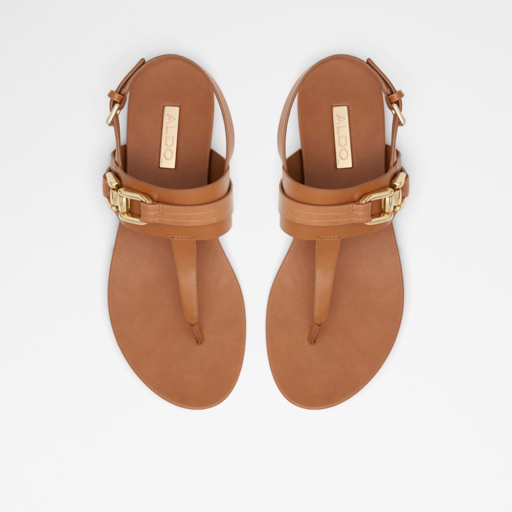 Sandales Aldo Gannamaryn T-strap Sandal Marron | ACDPUR-957