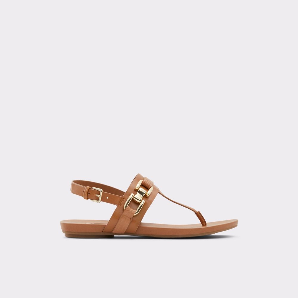 Sandales Aldo Gannamaryn T-strap Sandal Marron | ACDPUR-957