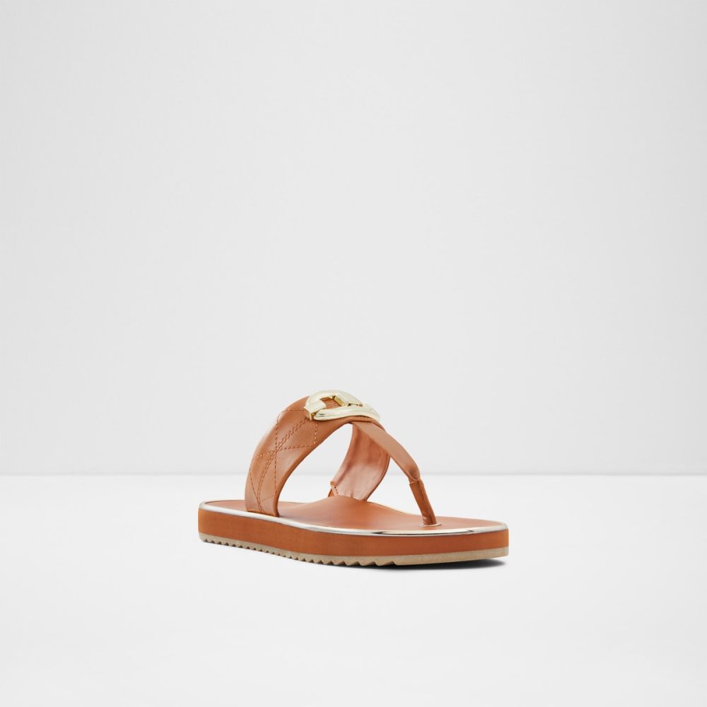 Sandales Aldo Searene Flip Flop Marron | AFMNIG-409