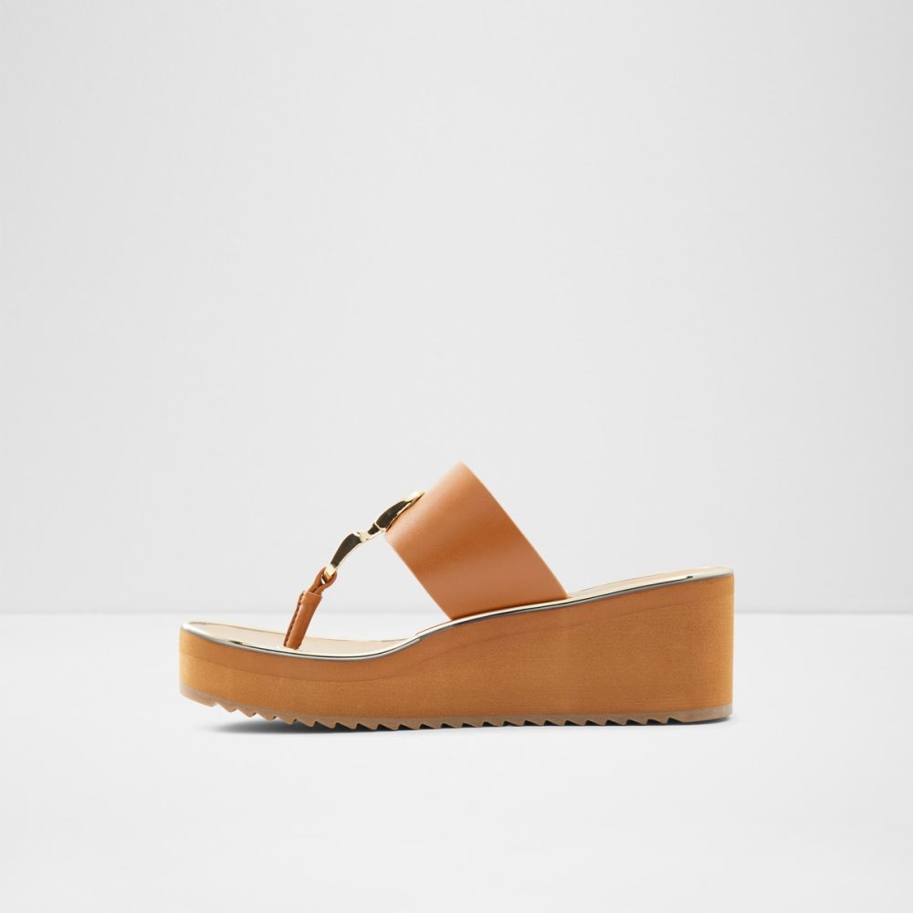 Sandales Aldo Toea Lanières Sandal - Wedge Marron | QRMBEG-069