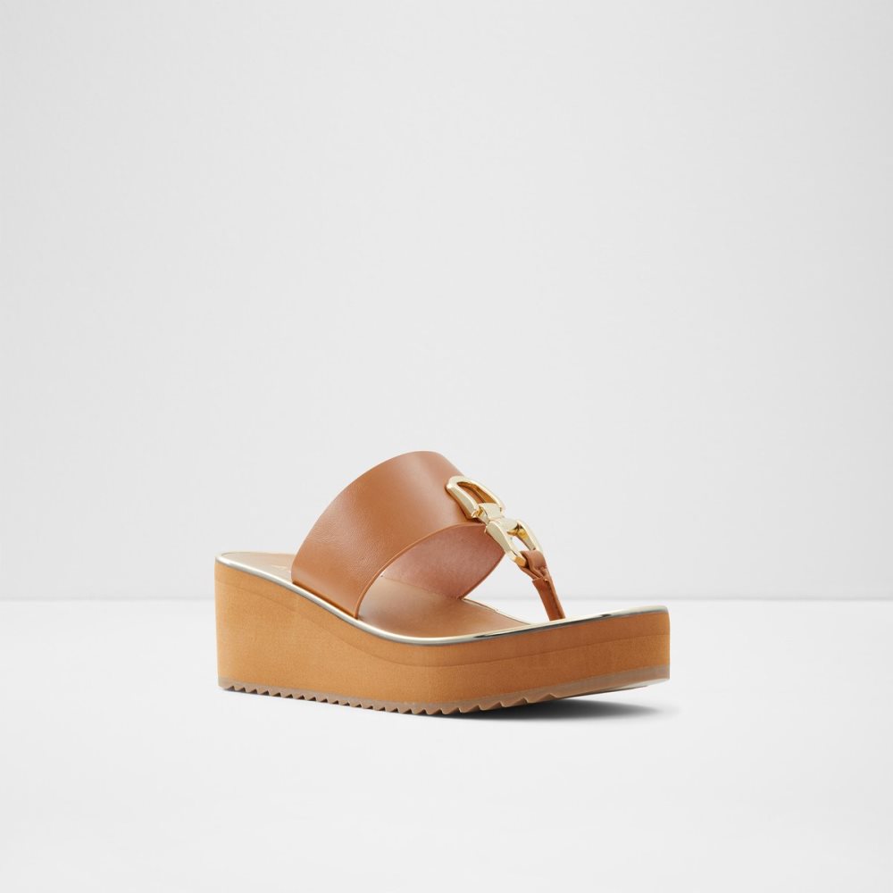 Sandales Aldo Toea Lanières Sandal - Wedge Marron | QRMBEG-069